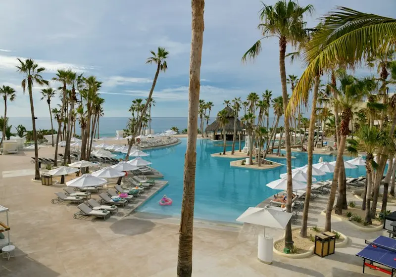 Beachfront resort pool with palm trees